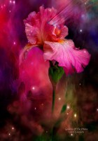 /album/carol-cavalaris2/goddess-of-the-divine-jpg1/